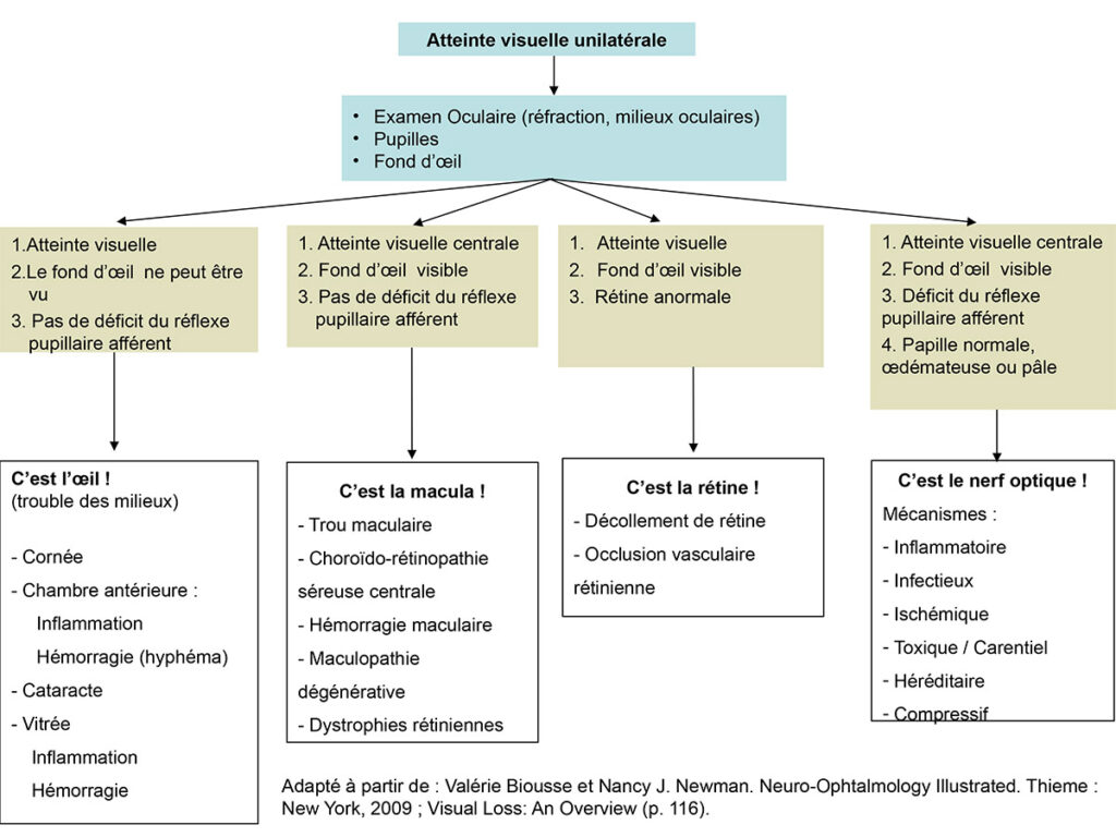 Conduite à tenir devant une atteinte visuelle unilatérale Club de Neuro Ophtalmologie Francophone